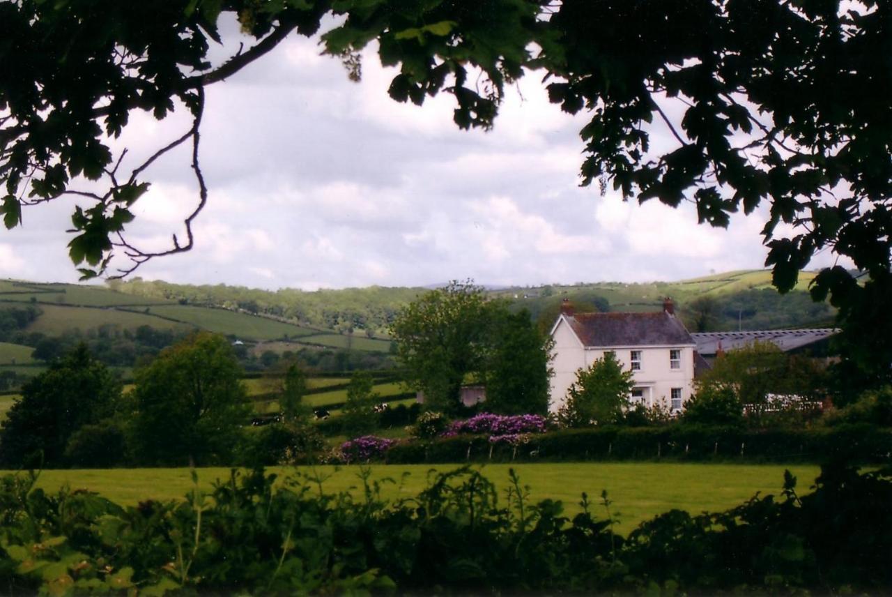 Glascoed Farmhouse Carmarthen Exteriör bild