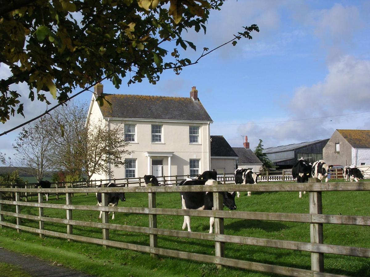 Glascoed Farmhouse Carmarthen Exteriör bild