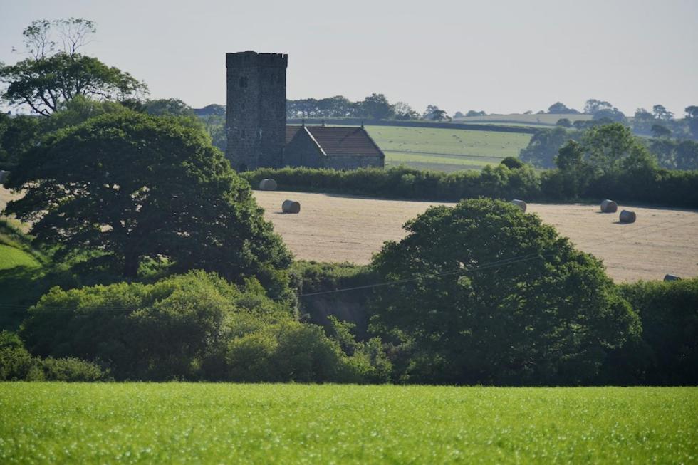 Glascoed Farmhouse Carmarthen Exteriör bild