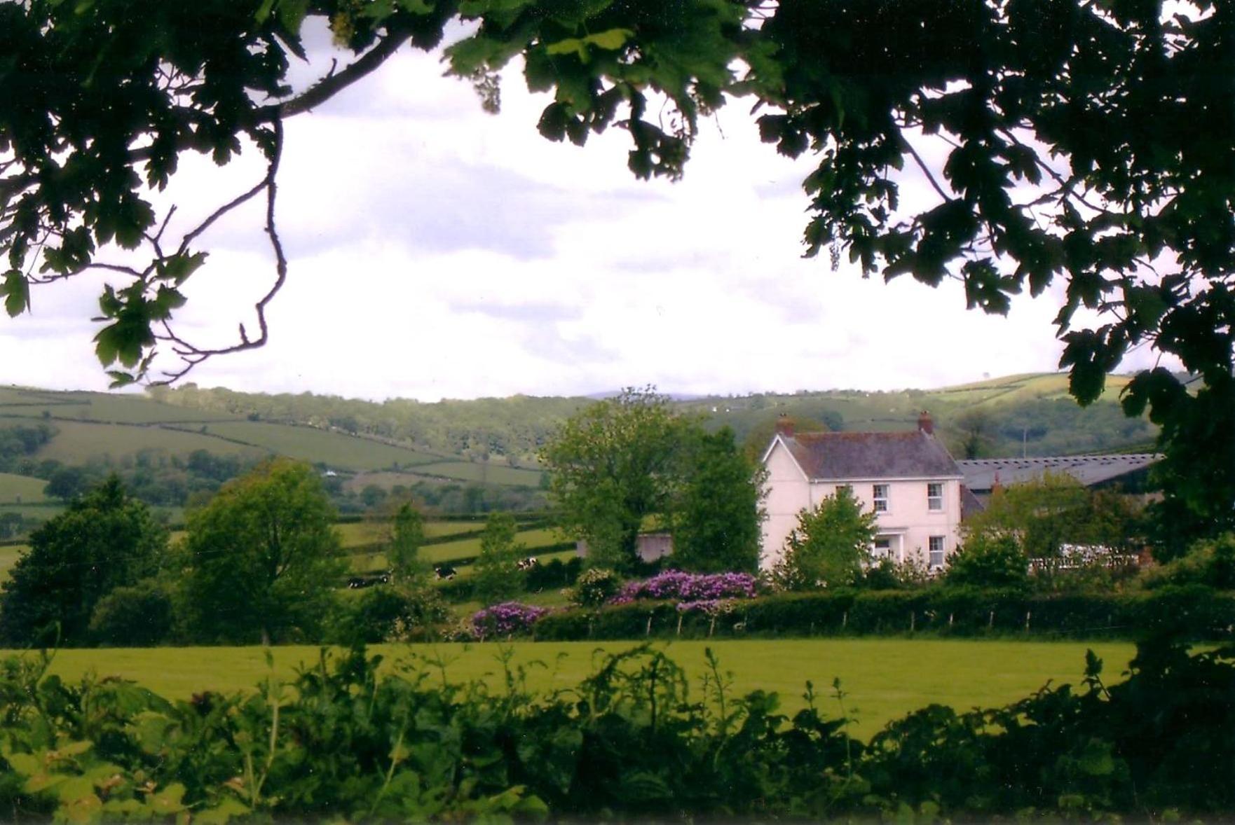 Glascoed Farmhouse Carmarthen Exteriör bild